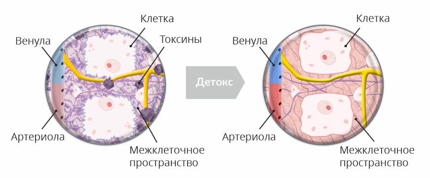 Признаки того, что кишечнику нужна «чистка»